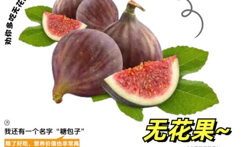 煅瓦楞子功效与作用及禁忌-煅瓦楞子功效与作用专区_煅瓦楞中药功效与作用专区_煅瓦楞子功效与作用网