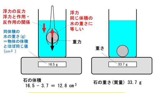 煅瓦楞子功效与作用及禁忌-煅瓦楞子功效与作用专区_煅瓦楞中药功效与作用专区_煅瓦楞子功效与作用网