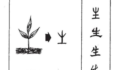 煅瓦楞子功效与作用及禁忌-煅瓦楞子功效与作用专区_煅瓦楞中药功效与作用专区_煅瓦楞子功效与作用网