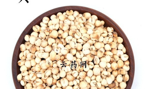 煅瓦楞子功效与作用专区_煅瓦楞中药功效与作用专区_煅瓦楞子功效与作用网